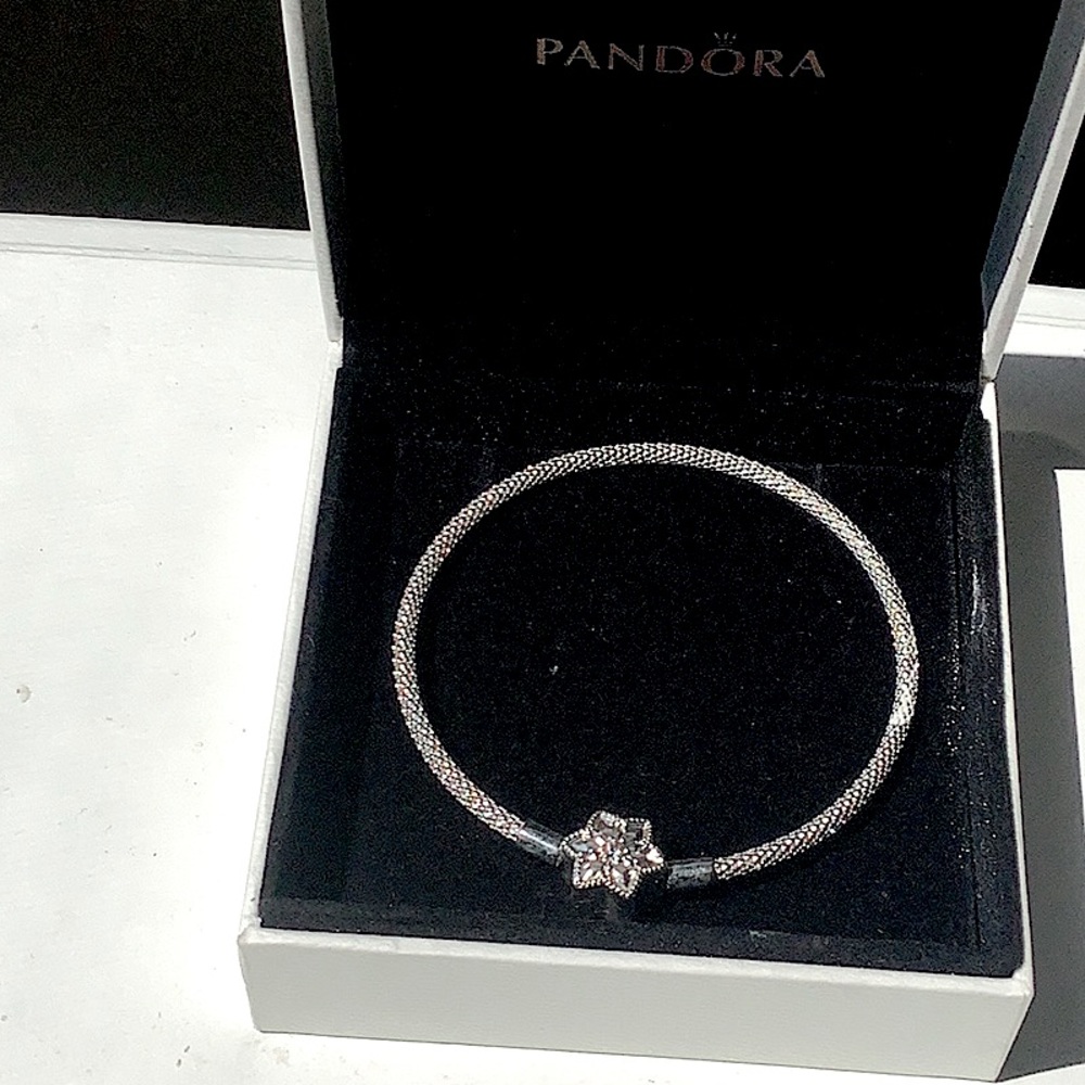 Silver Pandora bracelet, case included